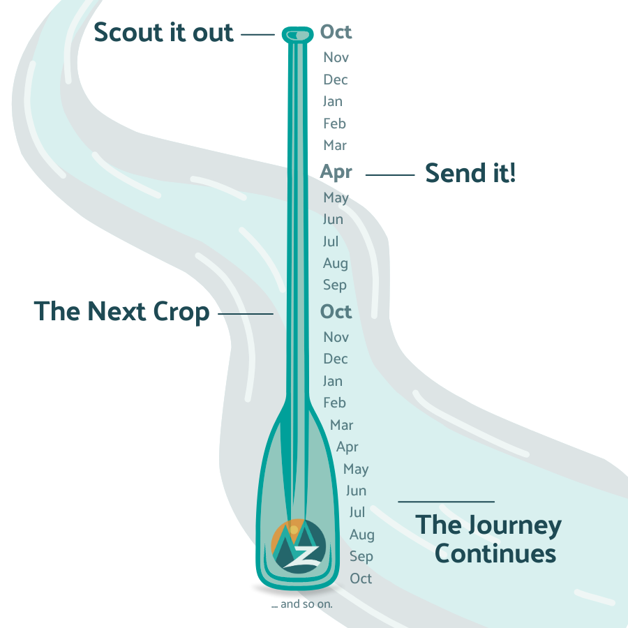 What to Expect on Your Journey with Zebulon LLC