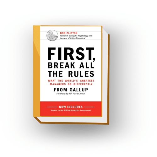 Stylized book graphic by Zebulon LLC showing "First, Break All the Rules" front cover.