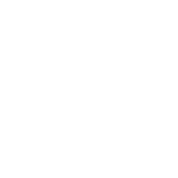 Zebulon LLC_Logo Outline The Zebulon logo outlined in white